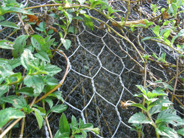 麥克加筋墊護(hù)坡護(hù)岸、廣東加筋麥克墊廠家 麥克加筋墊