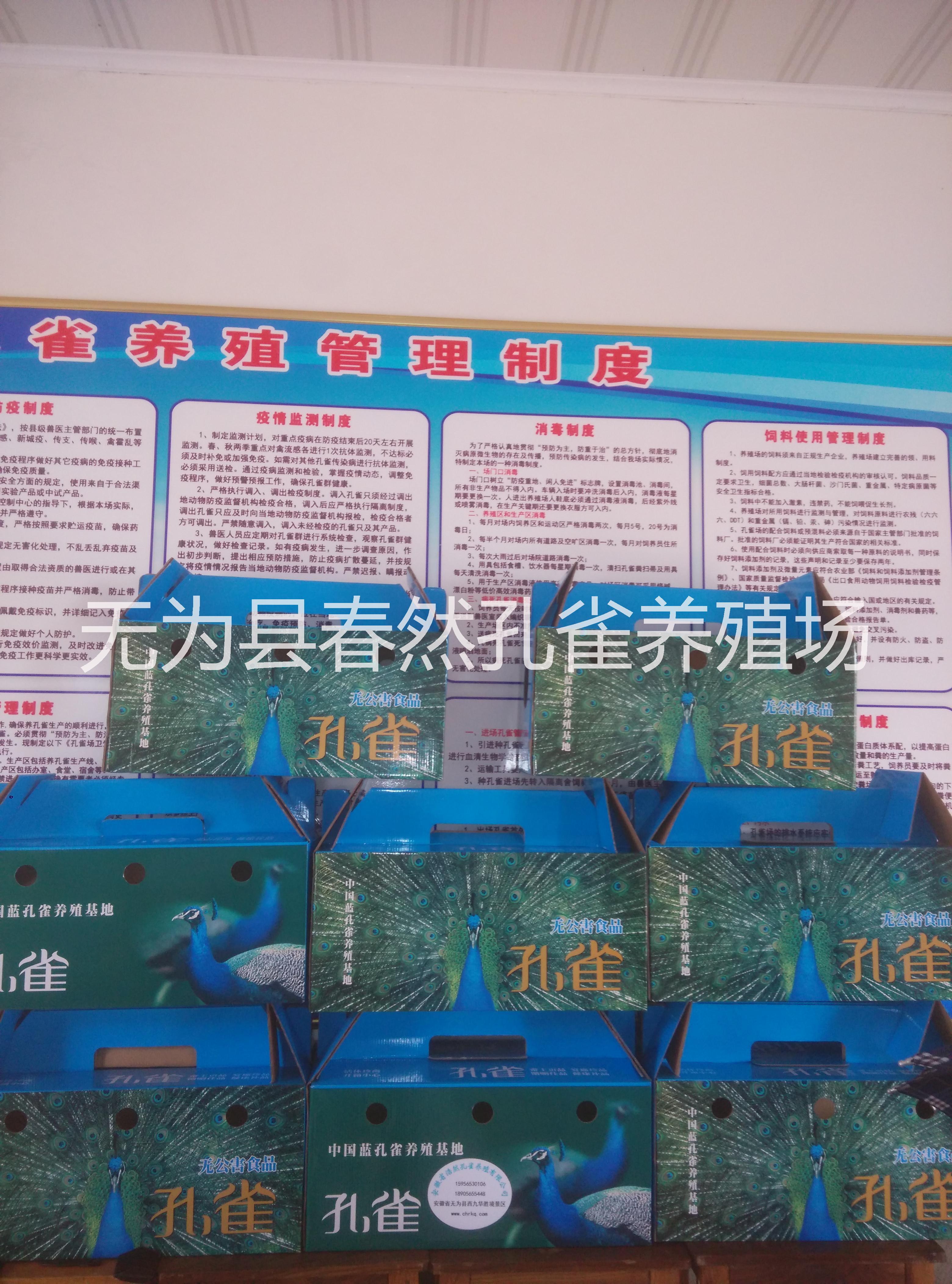 安徽省浩然*養(yǎng)殖基地 供應(yīng)花*，*，*