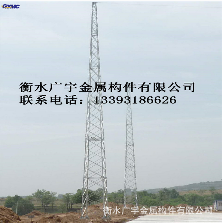避雷針塔價格     避雷針塔供應(yīng)商      避雷針塔哪家好     避雷針塔電話     河北避雷針塔