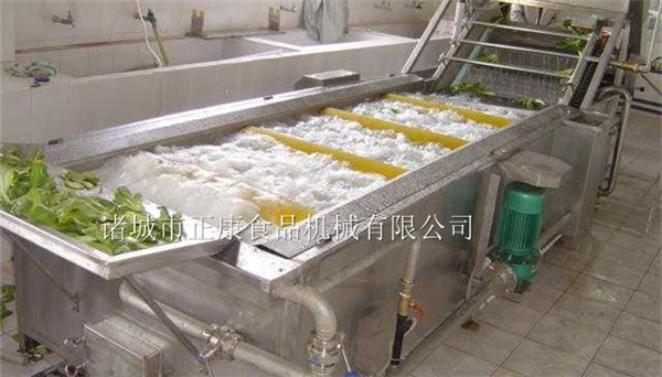 廠家供應氣泡式果蔬清洗機