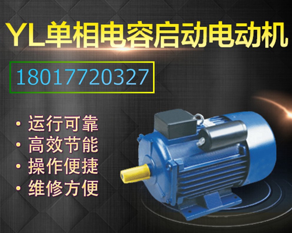 上海左力 YE3*電機 YE3