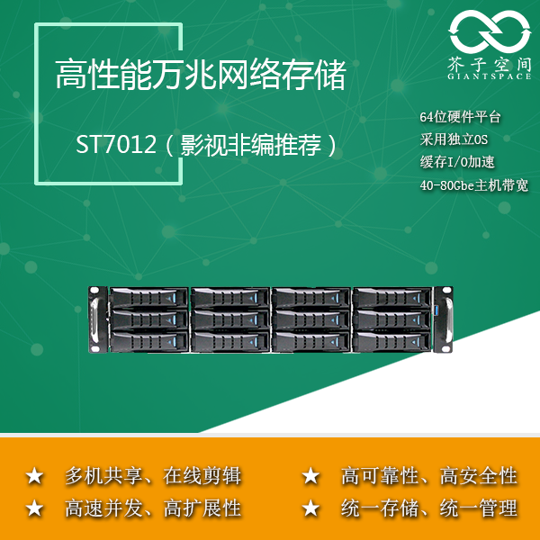 12盤位磁盤陣列 萬兆存儲