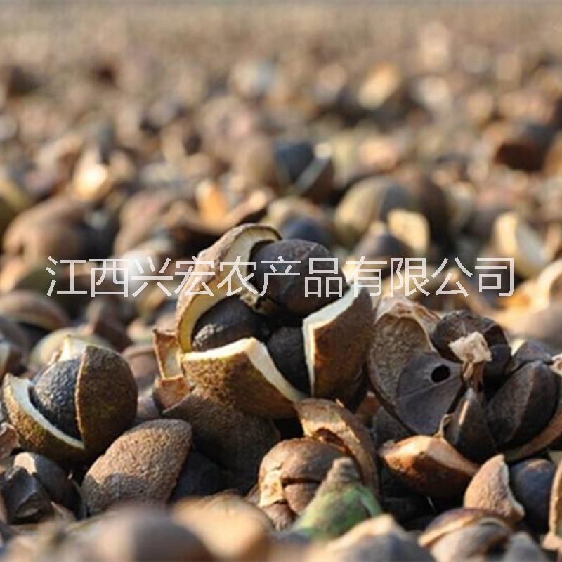 天然*農家茶油山茶油食用油茶籽油自榨孕婦嬰兒護膚純山茶油