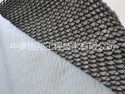 復(fù)合排水網(wǎng)廠家直銷(xiāo)*惠優(yōu)質(zhì)耐用質(zhì)量可靠