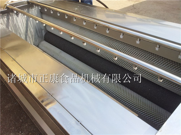 根莖類蔬菜清洗機 毛輥清洗機 根莖類蔬菜清洗機 毛輥去皮清洗機