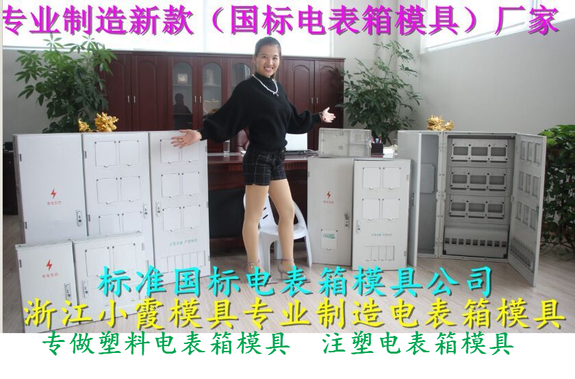 透明三相8電表箱模具 PC單相8位電表箱模具