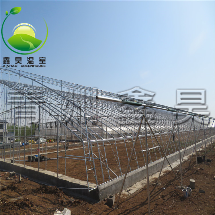 日光花卉溫室 文洛牡丹花卉大棚