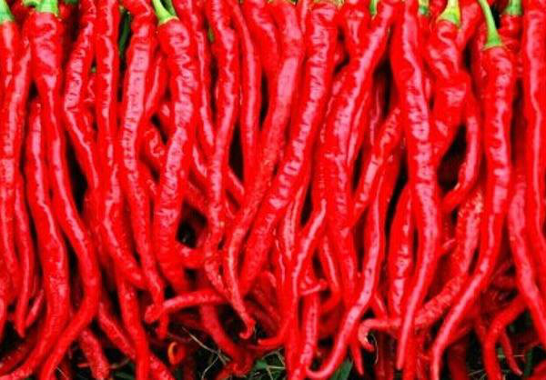 烘干機(jī)除濕機(jī)