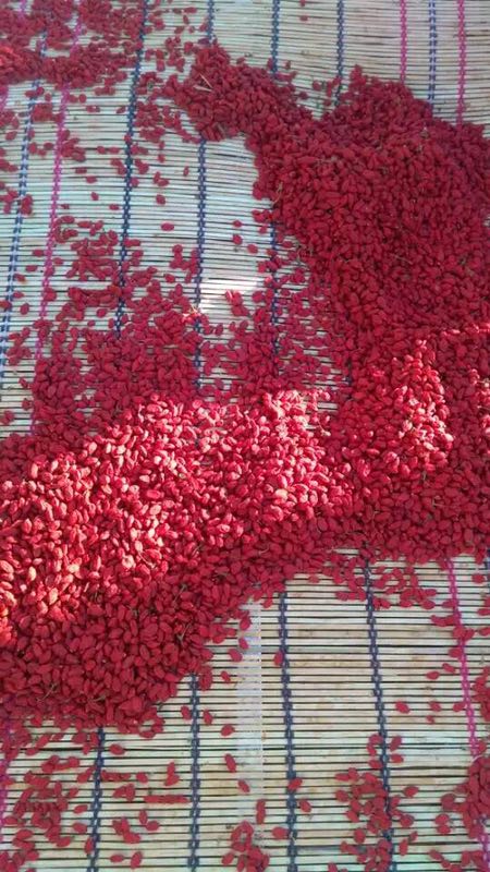 熱泵烘干機(jī)