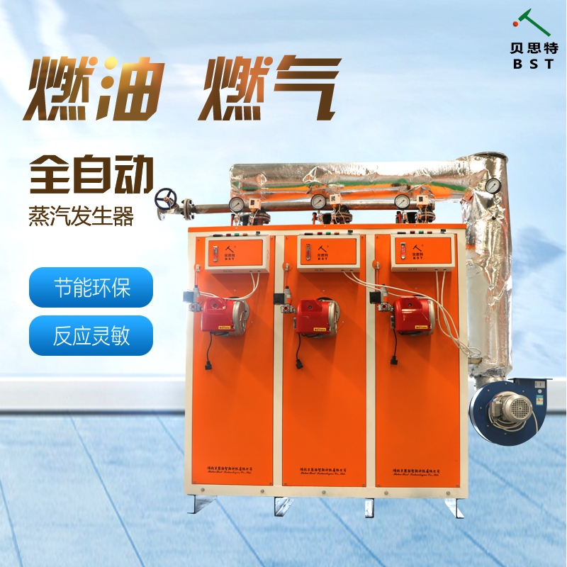 0.3噸燃油燃?xì)庹羝l(fā)生器  廠家現(xiàn)貨 *
