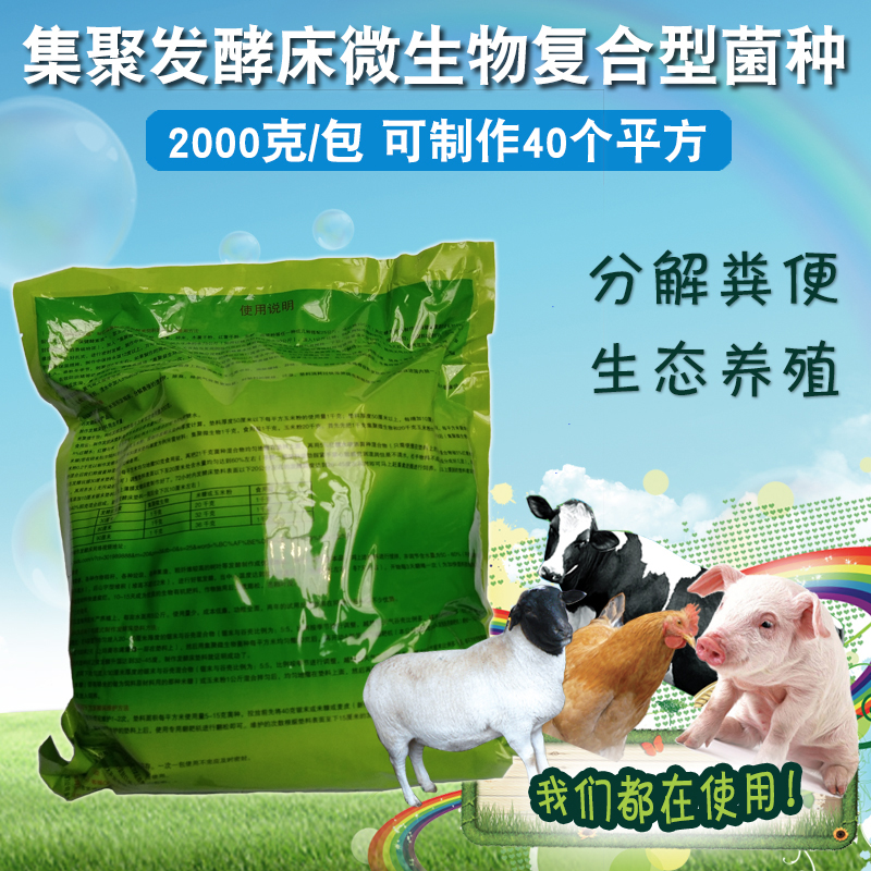 養(yǎng)豬場 豬糞發(fā)酵劑 零排放 有機肥發(fā)酵劑 腐熟劑 糞便處理發(fā)酵劑 發(fā)酵床墊料菌種