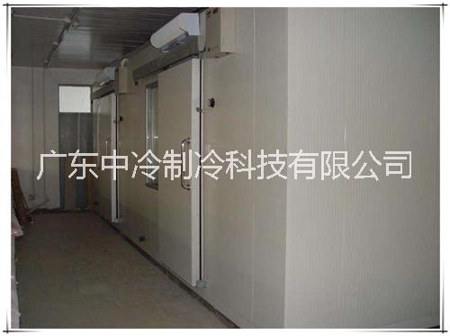 東莞冷庫 大型冷庫工程 20年經驗 廣東中冷制冷