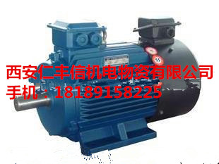 YVF.YVP變頻調(diào)速電機(jī)/YVF.YVP電機(jī)*/YVF.YVP電機(jī)現(xiàn)貨/YVF.YVP電機(jī)現(xiàn)貨/西安YVP電機(jī)生產(chǎn)