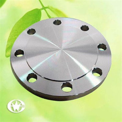 制作*不銹鋼盲板法蘭 保證質(zhì)量好 溫州盲板法蘭