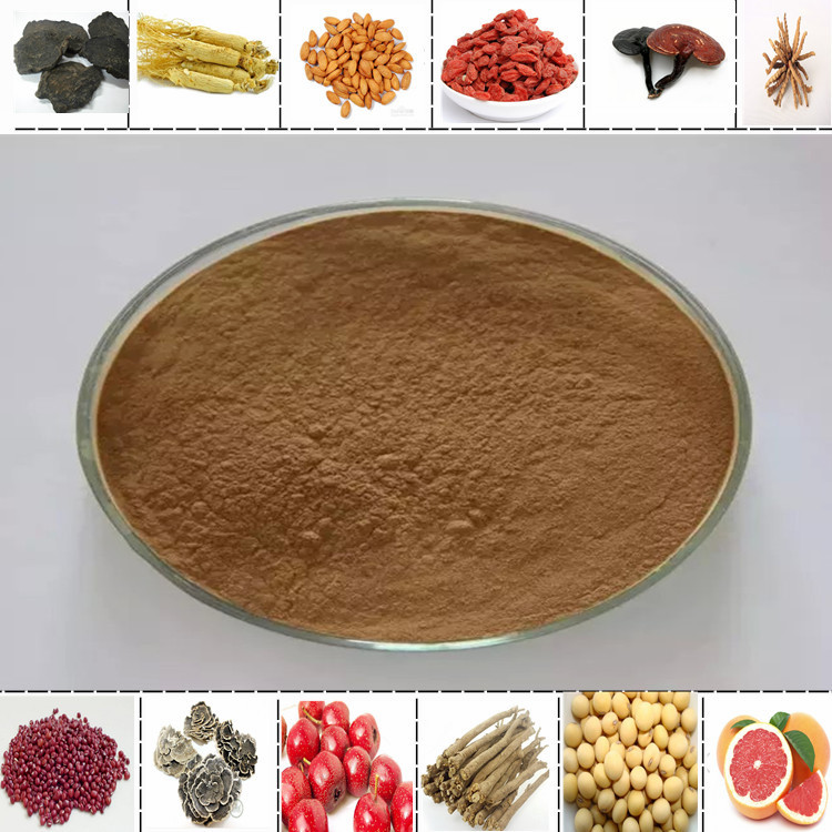 胖大海提取物清藍(lán)生物當(dāng)當(dāng)供應(yīng)