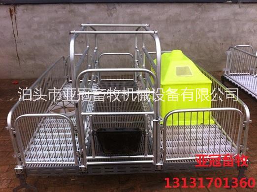 雙體復合板母豬產(chǎn)床廠家