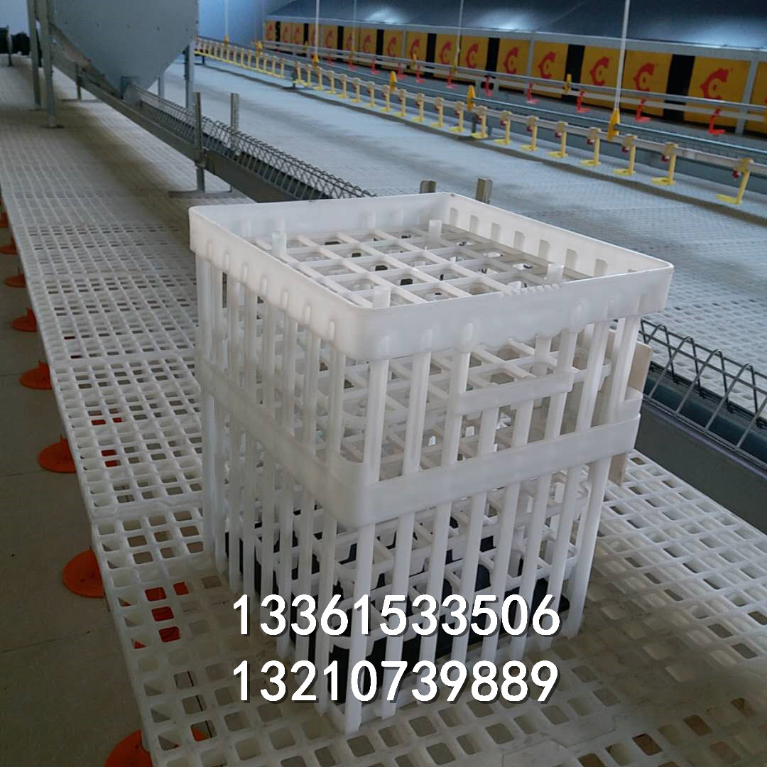 防摔雞蛋筐幾層種蛋箱熟膠材質(zhì)新式蛋筐報(bào)價