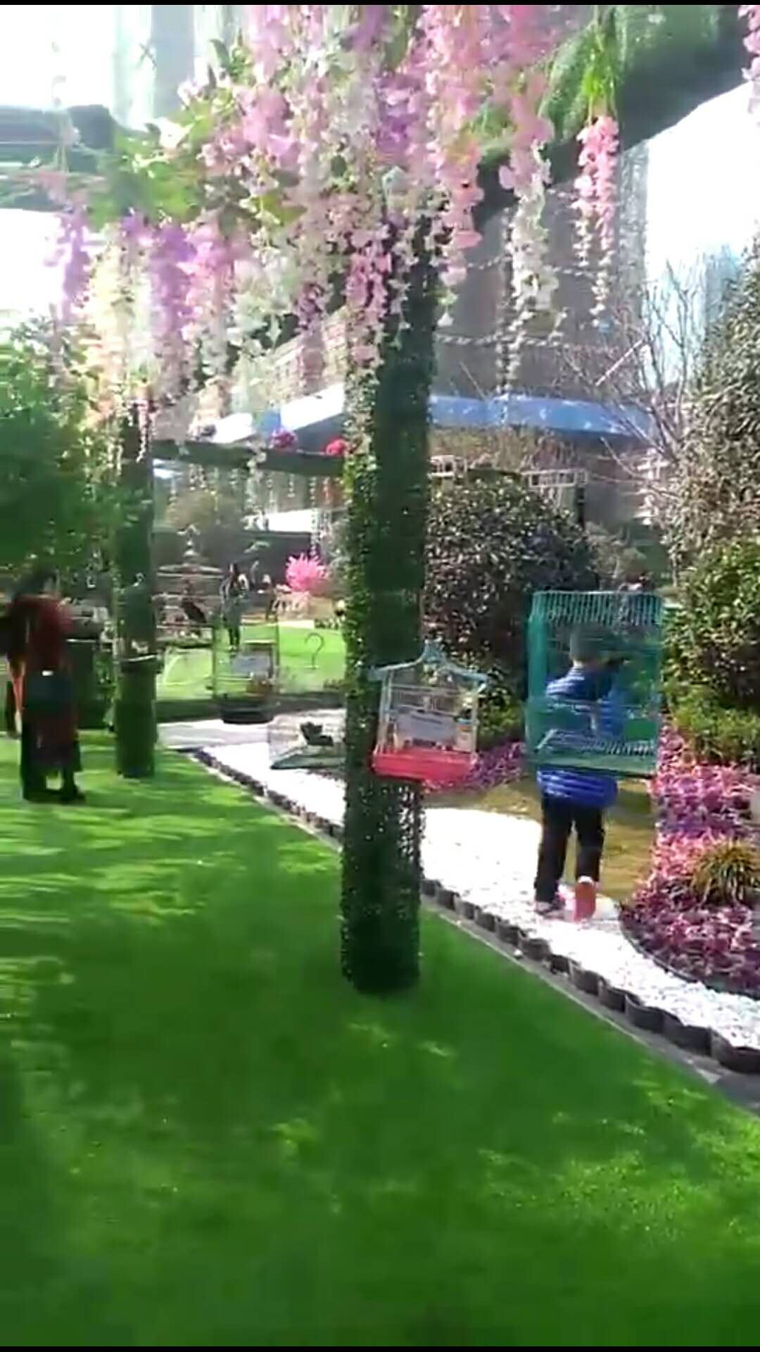 燈會(huì) 燈光展出售 百鳥展出租出售