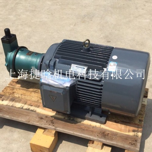 YQB100L1-4內(nèi)插油泵電機 2.2KW油泵*三相異步電機