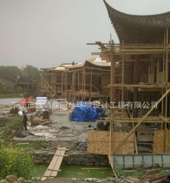 東莞軟樟樹供應(yīng)商 軟樟樹皮 東莞軟樟樹報(bào)價(jià) 東莞軟樟樹直銷 東莞軟樟樹皮價(jià)格