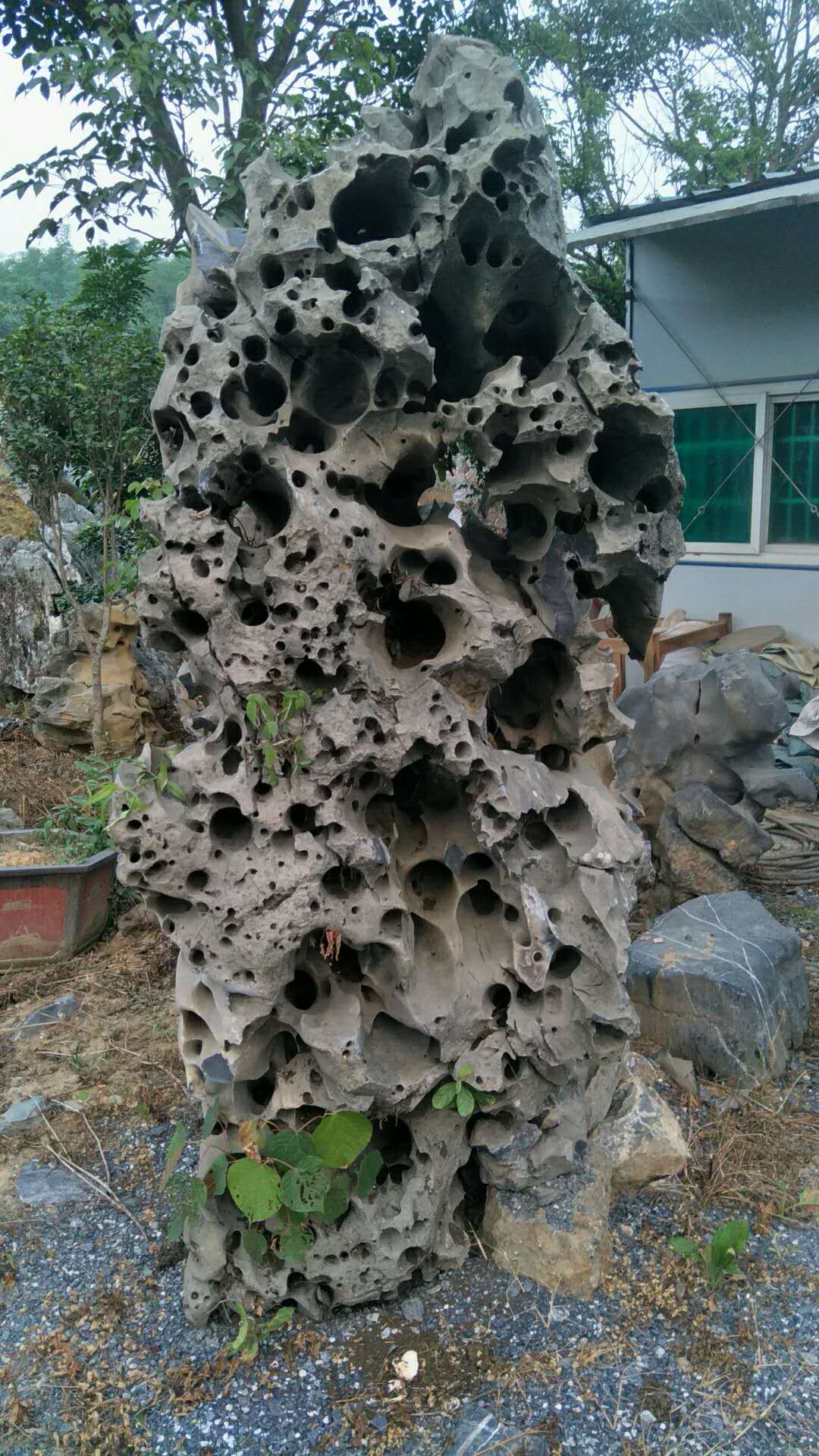 假山園林施工 假山園林生產(chǎn)廠家