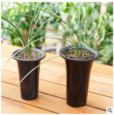 花盆價(jià)格    花盆供應(yīng)商    花盆哪家好    花盆電話    花盆廠家