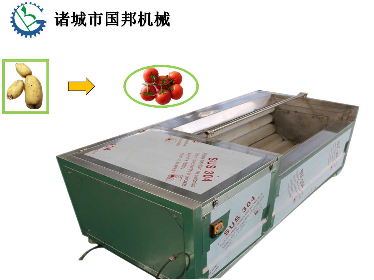 供應(yīng)生姜脫皮清洗機(jī)-毛刷清洗脫皮機(jī)