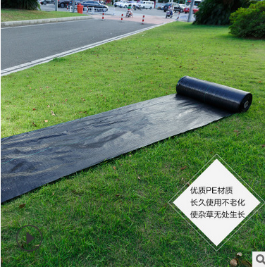 園藝地布價(jià)格   園藝地布供應(yīng)商   園藝地布哪家好   園藝地布電話   園藝地布廠家