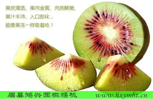 2018周至眉縣紅陽獼猴桃原產(chǎn)地國產(chǎn)報價多錢一斤  紅陽獼猴桃