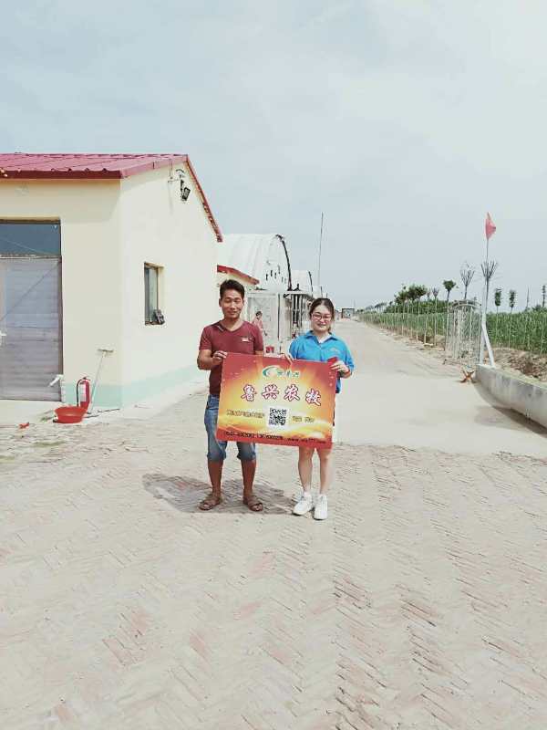 魯興農(nóng)牧 魯興農(nóng)牧現(xiàn)代化肉雞籠籠養(yǎng)設(shè)備