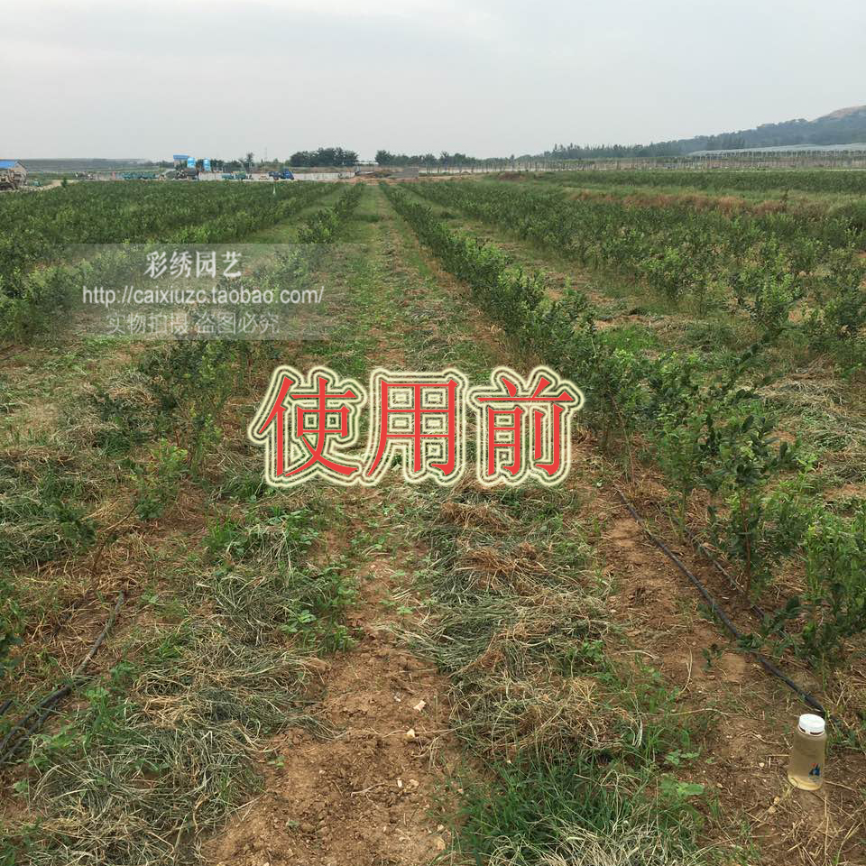 PE遮陽網(wǎng)廠家直銷 PE遮陽網(wǎng)報價 PE遮陽網(wǎng)價格 PE遮陽網(wǎng)哪家好 PE遮陽網(wǎng)供應商 PE遮陽網(wǎng)電話