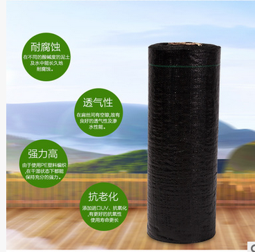 防草布廠家 防草布電話 防草地布供應(yīng)商 PE防草布廠家 PE防草布價(jià)格 PE防草布批發(fā) 防草地布報(bào)價(jià)