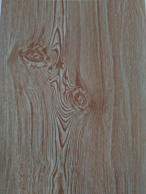 供應彩鋼卷 供應印花彩鋼卷