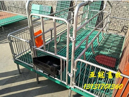 雙體復合板母豬產(chǎn)床廠家