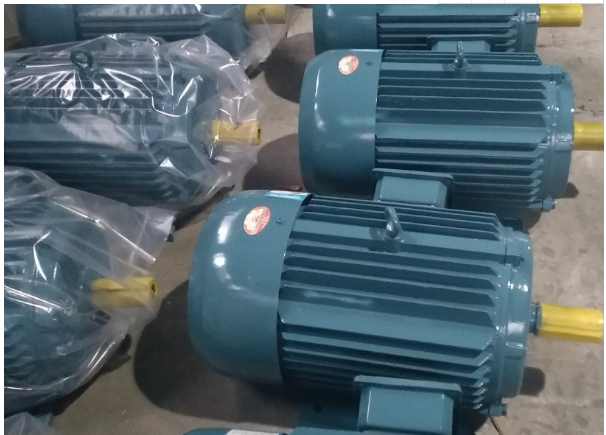 上海昂藝直銷電動(dòng)機(jī)的特點(diǎn)