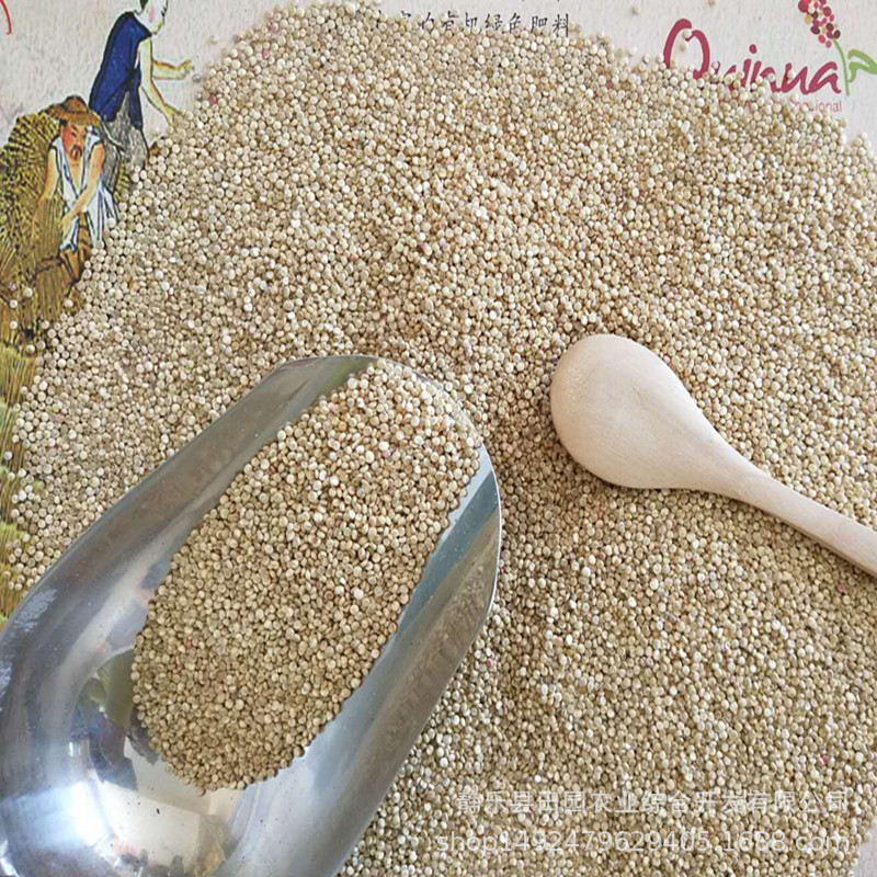 藜麥藜麥普通裝山西藜麥普通裝批發(fā)商山西藜麥普通裝供應商山西藜麥普通裝廠家山西藜麥普通裝批發(fā)藜麥青II類5斤裝