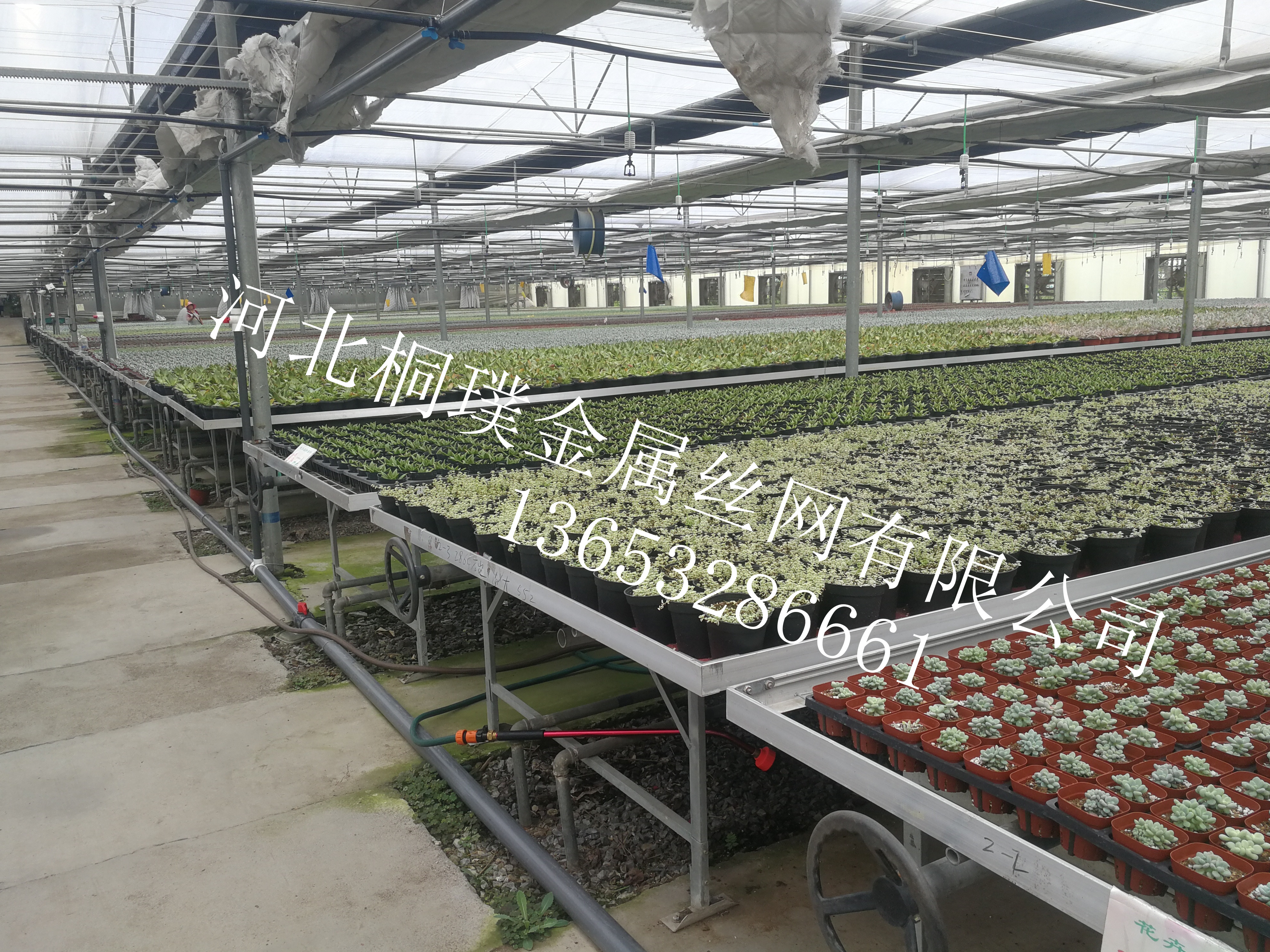 潮汐苗床，衡水潮汐苗床，潮汐苗床廠家，專業(yè)生產(chǎn)潮汐苗床，潮汐苗床批發(fā)