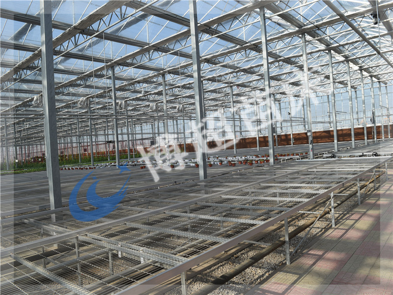 移動(dòng)苗床的優(yōu)勢(shì)有哪些