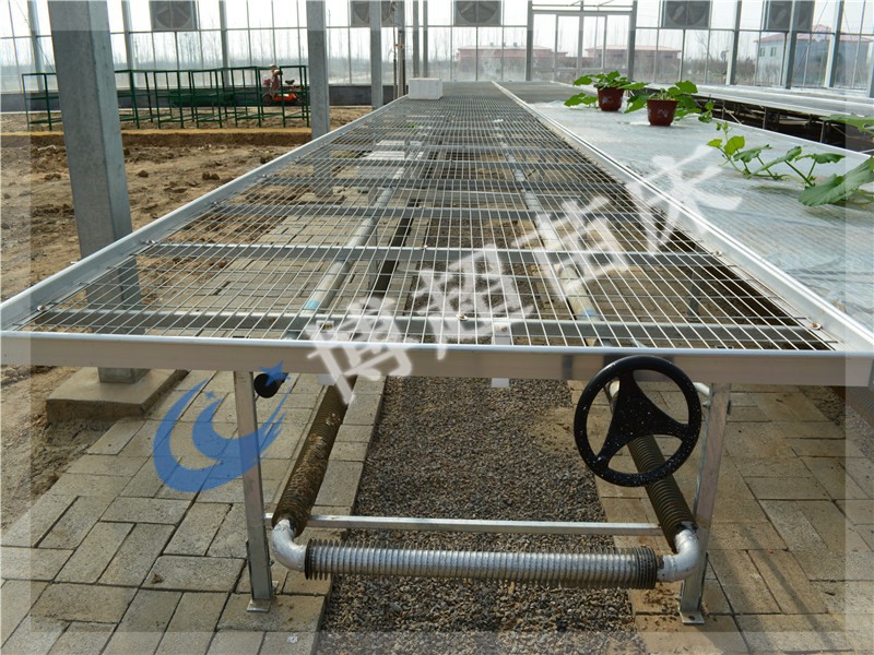 移動(dòng)苗床的優(yōu)勢(shì)有哪些