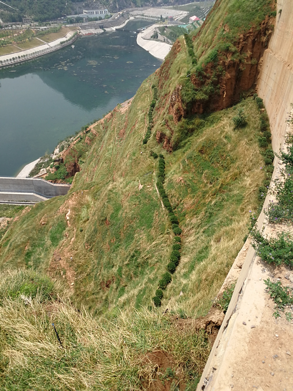 邊坡綠化防護 園林景觀工程施工 客土噴播植草河南景繡邊坡綠化工程