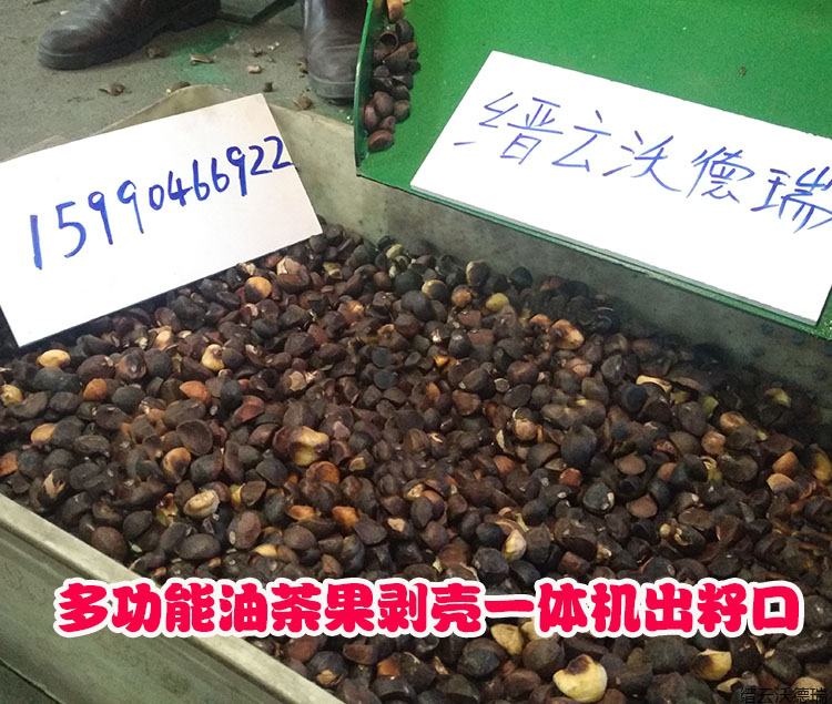 油茶果剝殼分離機-油茶果剝殼機自動油茶果剝殼機新型油茶果剝殼機茶籽剝殼機報價 江西茶果剝殼機 油茶果  油茶果剝殼分離