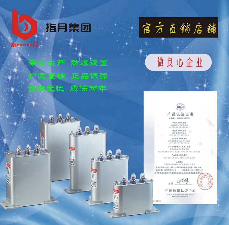 廠家直銷自愈式低壓并聯(lián)電容器 自愈式低壓并聯(lián)電力電容器