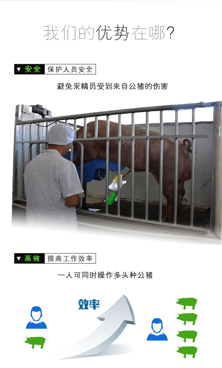 湖州豬精液自動(dòng)采精系統(tǒng),豬人工授精耗材哪家好