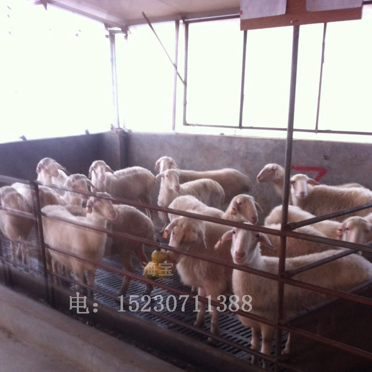 海寶牛羊舔磚舔塊多能舔磚鹽磚鹽塊生產(chǎn)廠家營養(yǎng)富含鈣磷硒等微量元素 海寶牛羊舔磚舔塊多能舔磚