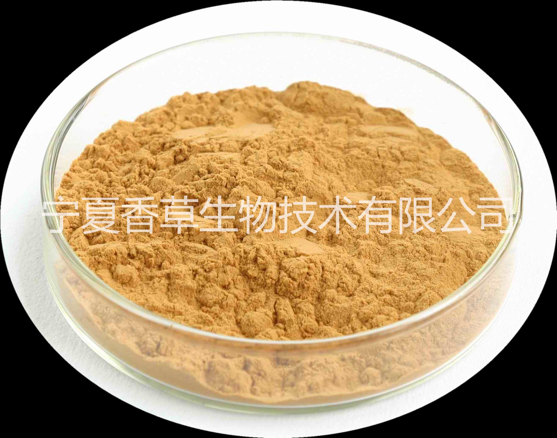 沙棘多肽 沙棘蛋*寧夏廠家直銷 沙棘籽粕提取蛋白質(zhì)含量20%  沙棘肽粉 低聚肽 沙棘小分子肽價格