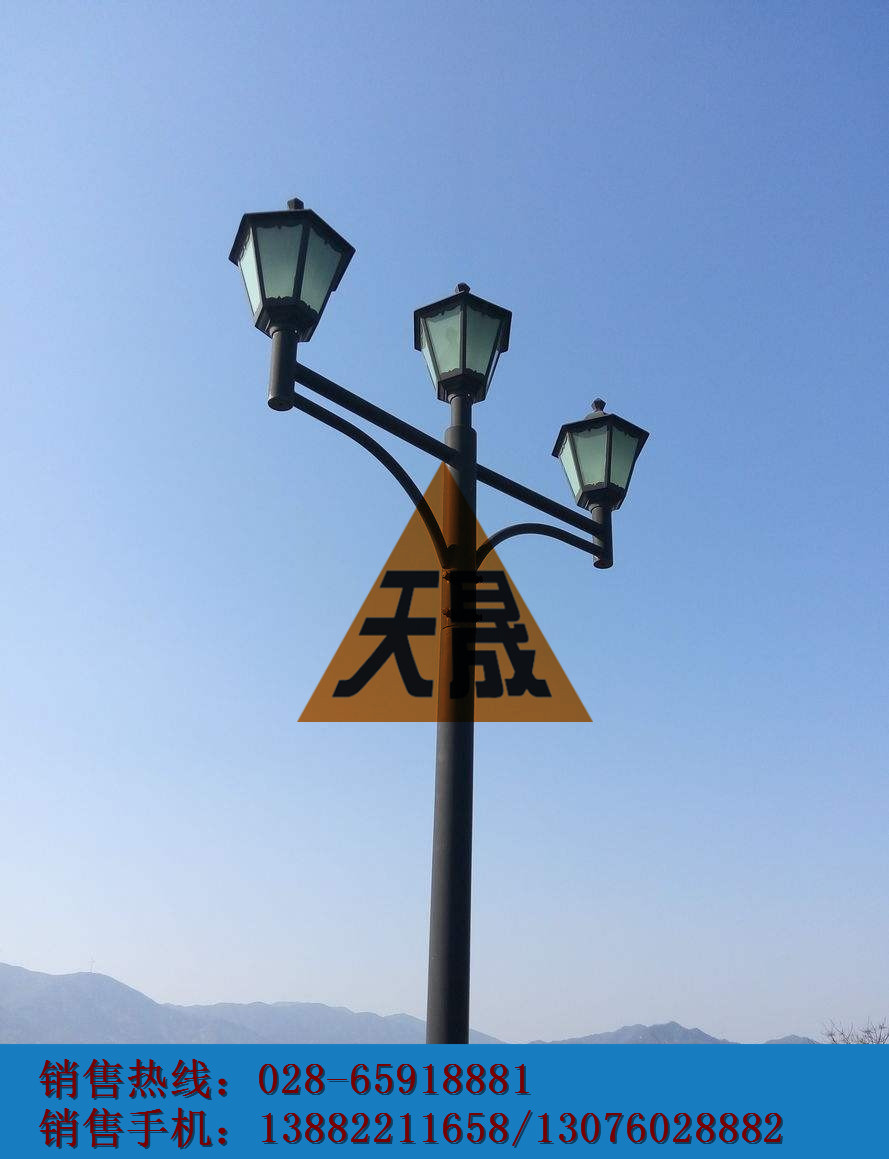 宜賓公園庭院燈生產(chǎn)制作|四川景區(qū)庭院燈制作廠【成都世紀(jì)天晟】