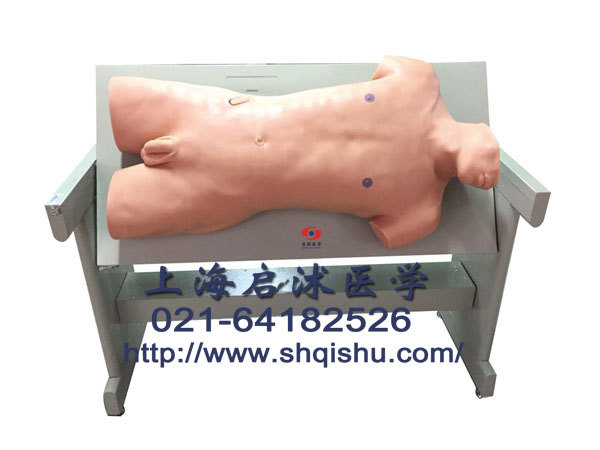 QS/CK810 綜合穿刺術(shù)與叩診檢查技能訓(xùn)練模型,醫(yī)用假人