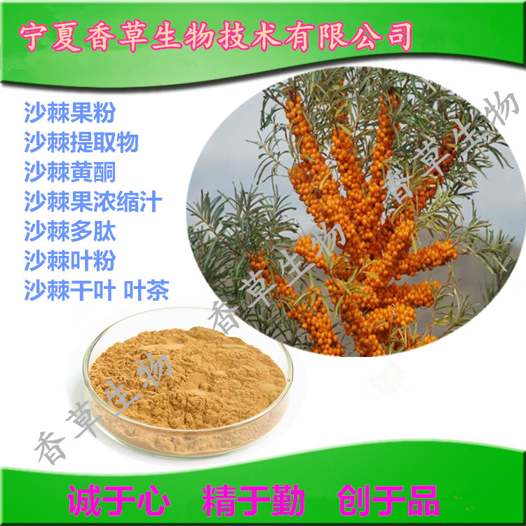 沙棘多肽 沙棘蛋*寧夏廠家直銷 沙棘籽粕提取蛋白質(zhì)含量20%  沙棘肽粉 低聚肽 沙棘小分子肽價格