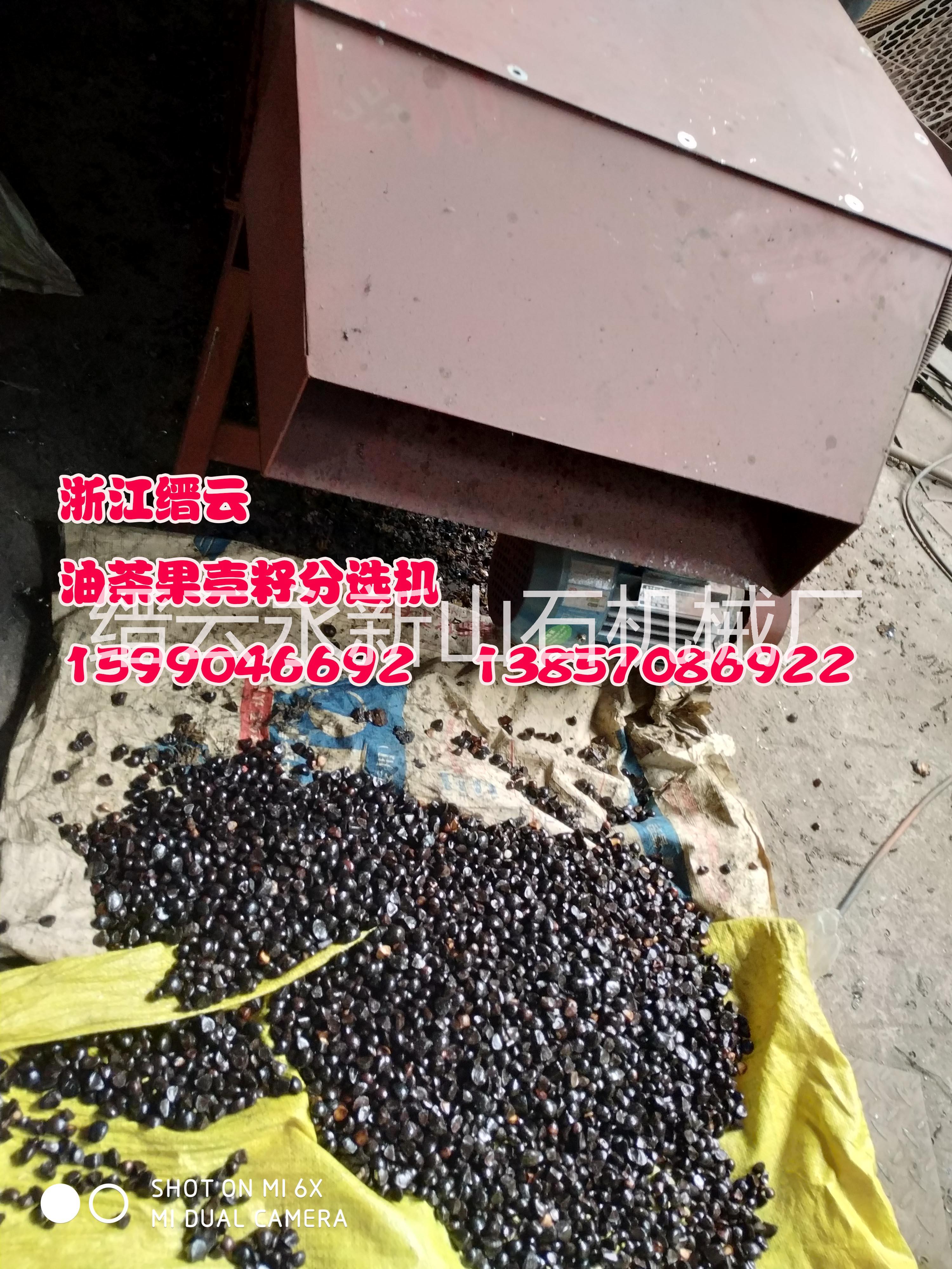 油茶果剝殼機殼籽精選機-油茶果去皮機設(shè)備-油茶果去皮機生產(chǎn)廠家-油茶果去皮機多少錢