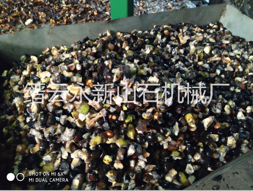 湖南油茶果去皮機(jī)-油茶果去皮茶果剝殼機(jī)價(jià)格@油茶果去皮機(jī)多少錢@★油茶果剝殼機(jī)@油茶果去皮機(jī)品牌 油茶果去皮機(jī)哪里生產(chǎn)